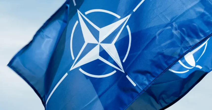 NATO Allies Sharpen Submarine Warfare Capabilities in Military Exercise Off Italian Coast